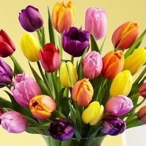 Meet your Posher, Vivian